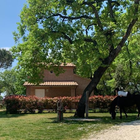 Willa Casina Miriano Castiglione del Lago Zewnętrze zdjęcie