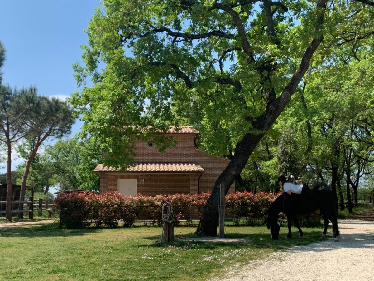 Willa Casina Miriano Castiglione del Lago Zewnętrze zdjęcie